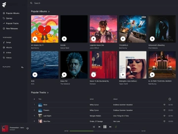 MusicPulse v1.0 - Music Streaming Engine preview picture