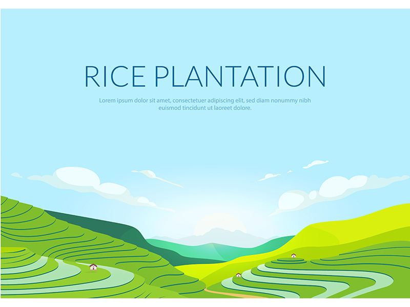 Terraced plantation poster flat vector template