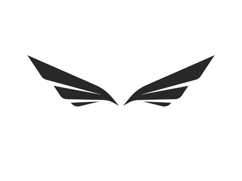 Wing  logo icon vector illustration