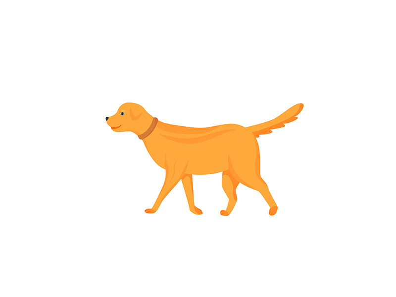 Ginger dog flat color vector character