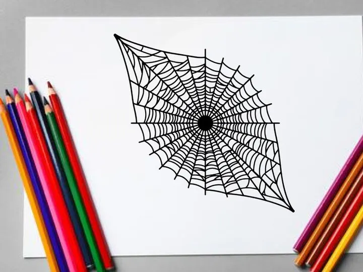 Close-up of a Spider Web with Dew Drops in Morning Light
