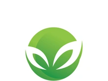 Green leaf logo design template modern leaf logo vector