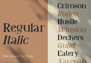 Fatin Gengky - Casual Serif Font