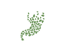 Stomach care icon designs concept illustration