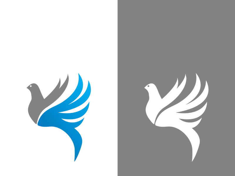 Dove bird logo vector design illustration