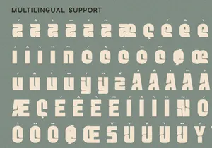 Echo Ridge - Display Sans