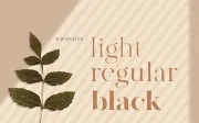 Canvas Font Family - Free Demo