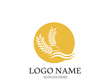 Wheat logo vector icon illustration design