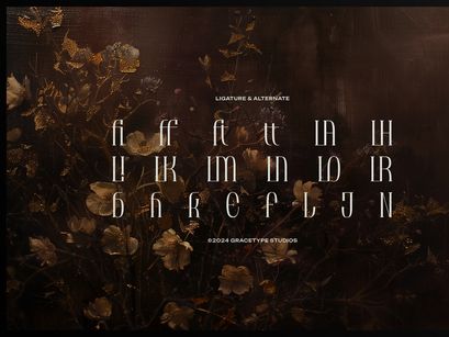 Brunelis Noctelle | Display Serif Font
