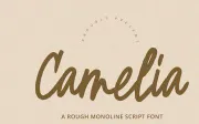 Camelia - Script Font
