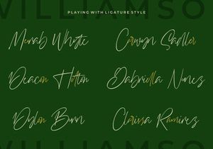 Williamson - Luxury Signature Font