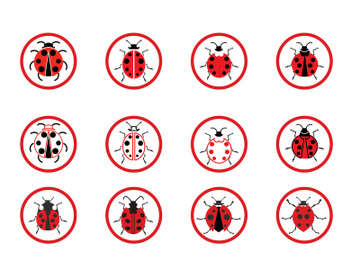 ladybird animal  vector logo symbol icon preview picture