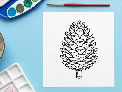Close-up of a pine cone on a white background. Natural botanical detail for nature or craft themes.