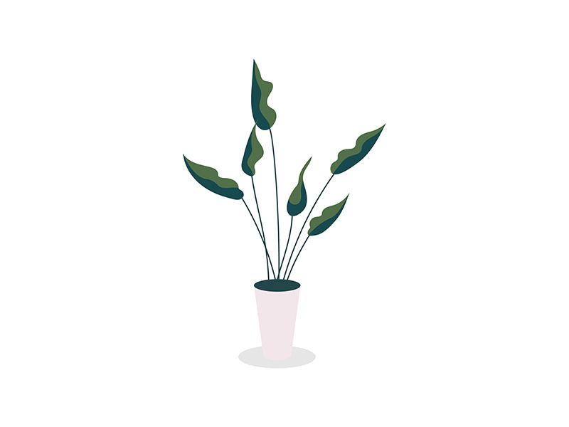 Houseplant flat color vector object