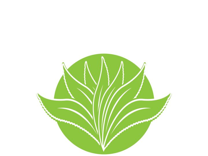 Aloe Vera logo icon design symbol beauty skin care