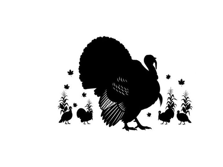 Black silhouette of a large turkey with smaller turkeys and plants