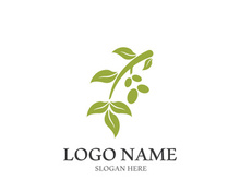 olive icon vector illustration design template