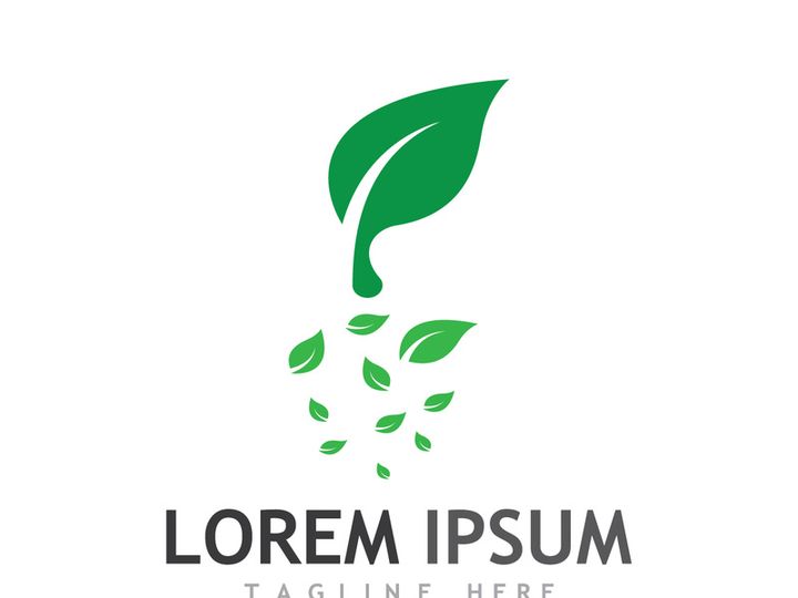 Natural green leaf logo design.