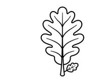 Stylized leaf illustration for eco-friendly branding. Artistic botanical design for nature-themed projects.