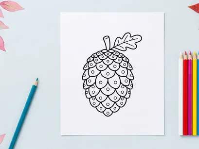 Pine cone line art drawing. Hand drawn botanical illustration of a conifer seed.