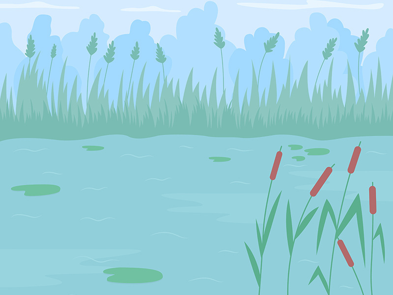 Pond surrounded by reed grass flat color vector illustration