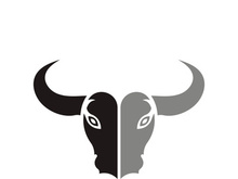 Bull head logo vector icon design illustration