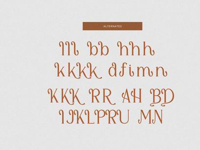 Shialbert | Modern Serif