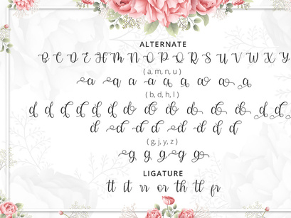 Modena - Modern Calligraphy Font