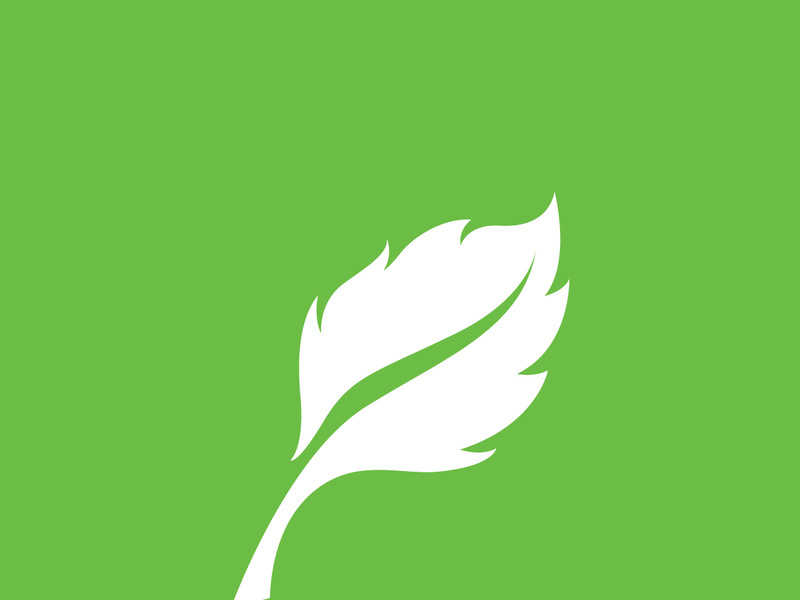 Leaf logo green nature vector image