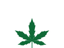 Canabis leaf logo and symbol vector