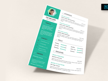 Resume CV Template-14 preview picture