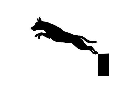 Dog jumping silhouette in mid air against white background