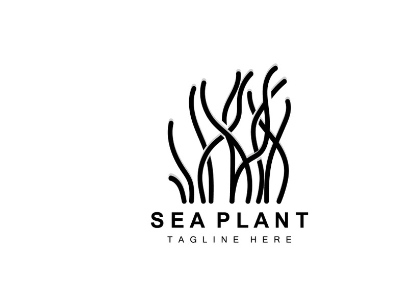 Seaweed Logo, Sea Plants Vector Design, Grocery And Nature Protection