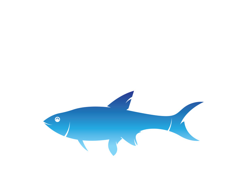 Fish logo icon template creative vector symbol