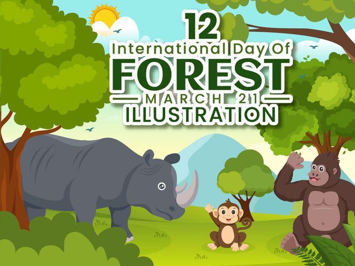 12 International Forest Day Illustration