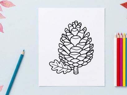 Close-up of a pine cone on a branch. Natural botanical detail for nature and outdoor themes.
