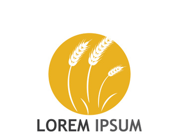 Organic wheat farm logo template. preview picture