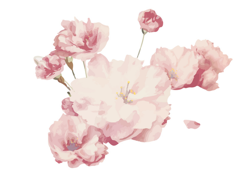 Vector Flower Watercolor Illustration