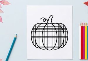 Plaid pumpkin line art icon. Minimalist autumn harvest symbol for seasonal design.