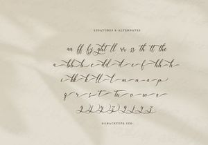 Mallsreya | Beauty Calligraphy Script