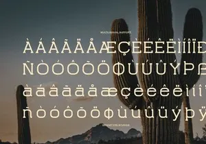 Rantona | Western Slab Serif