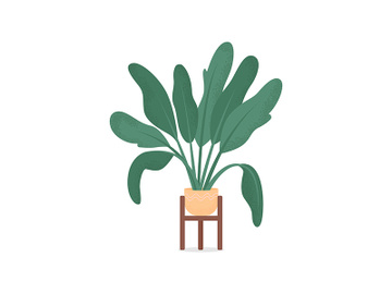 Home plant flat color vector object preview picture