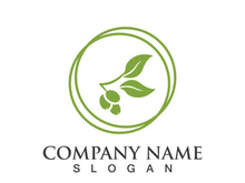 Extra virgin olive oil logo icon design vector illustration