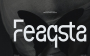 Feaqsta | Display Sans Serif