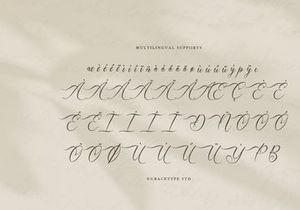 Mallsreya | Beauty Calligraphy Script