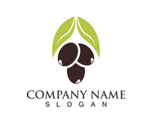 Extra virgin olive oil logo icon design vector illustration