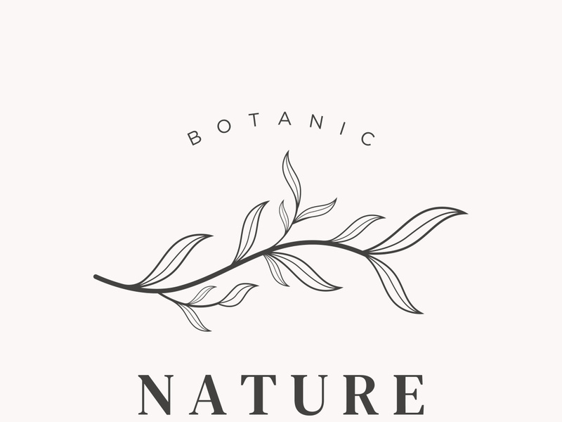 Hand drawn natural organic botanical feminine delicate logo for florist, wedding, badge, photographer and beauty.