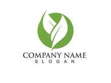 Green leaf logo Vector