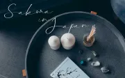 Free Estella Script Font