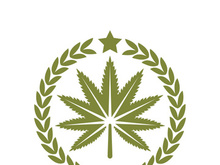 Mariuhana leaf symbol, marijuana or hemp icon, cannabis medical sign, weed drug vector illustration